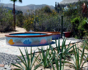 poolpainting.jpg